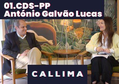 Manual de Instruções: 01. António Galvão Lucas – CDS-PP